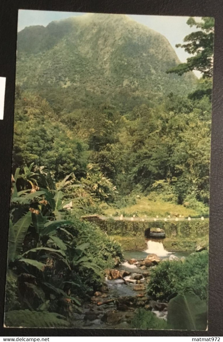 LOT 12: 5 Cartes Postales Anciennes De MARTINIQUE. Bon état. - Other & Unclassified