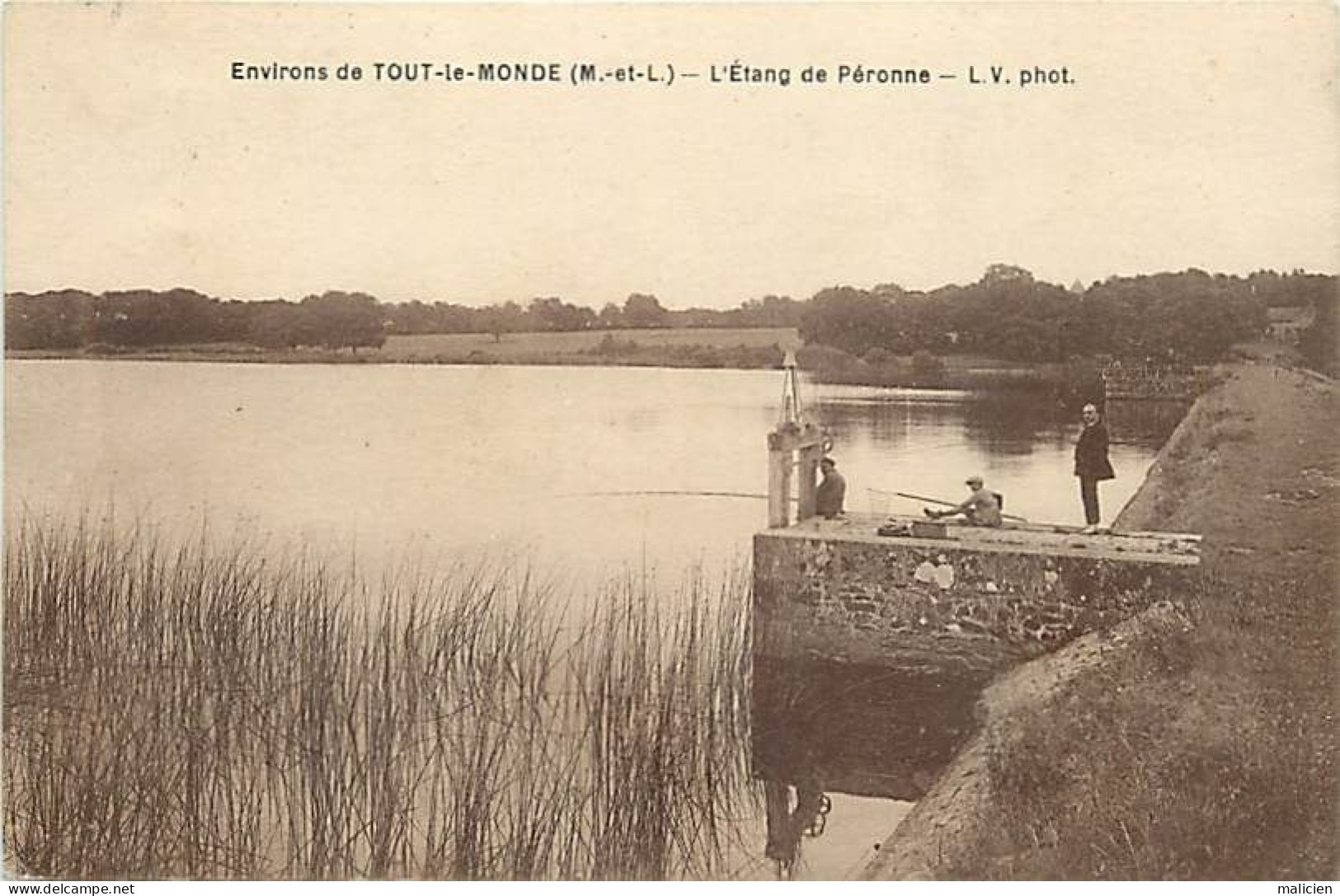 - Maine Et Loire -ref-B46- Tout Le Monde - Environs - Etang De Péronne - Pêcheurs à La Ligne - Pêche - Etangs - - Autres & Non Classés