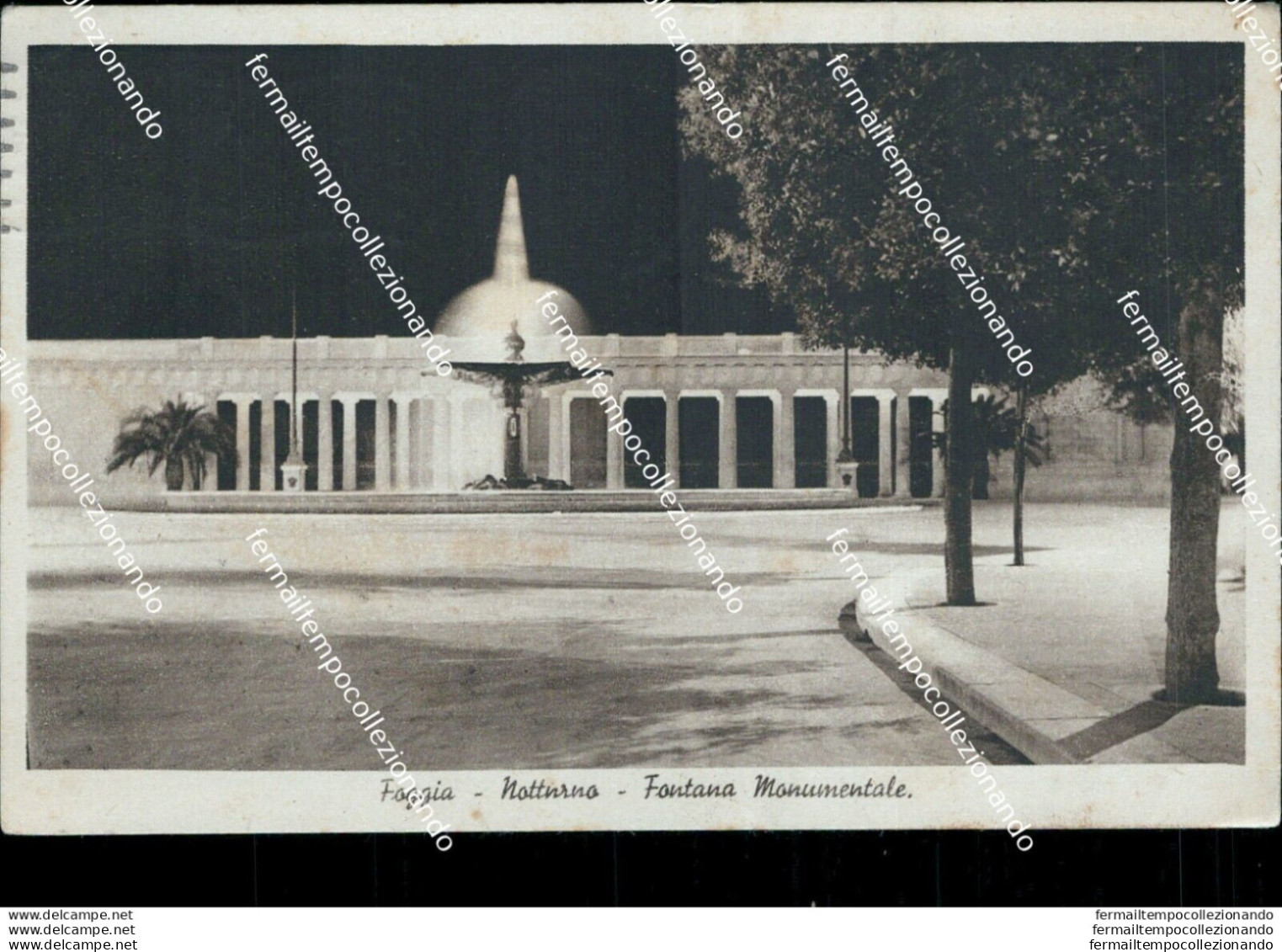 U602 Cartolina Foggia Citta' Notturno Fontana Monumentale - Foggia