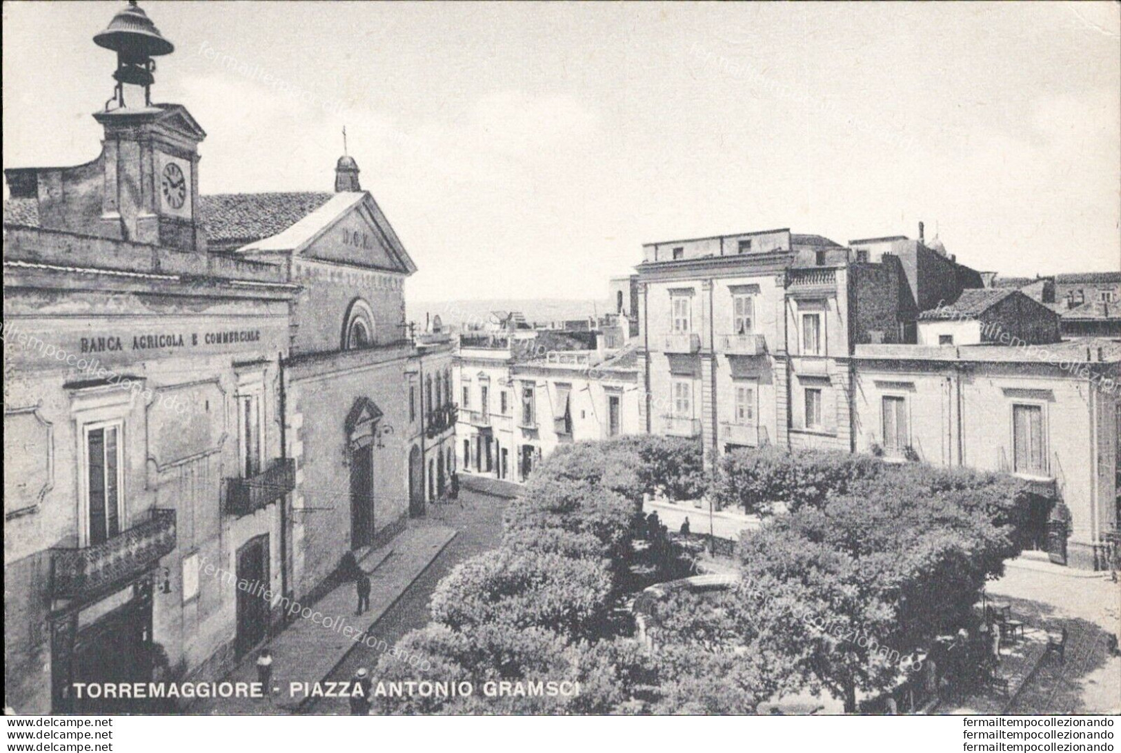 Am32 Cartolina Torremaggiore Piazza Antonio Gramsci Provincia Di Foggia - Foggia