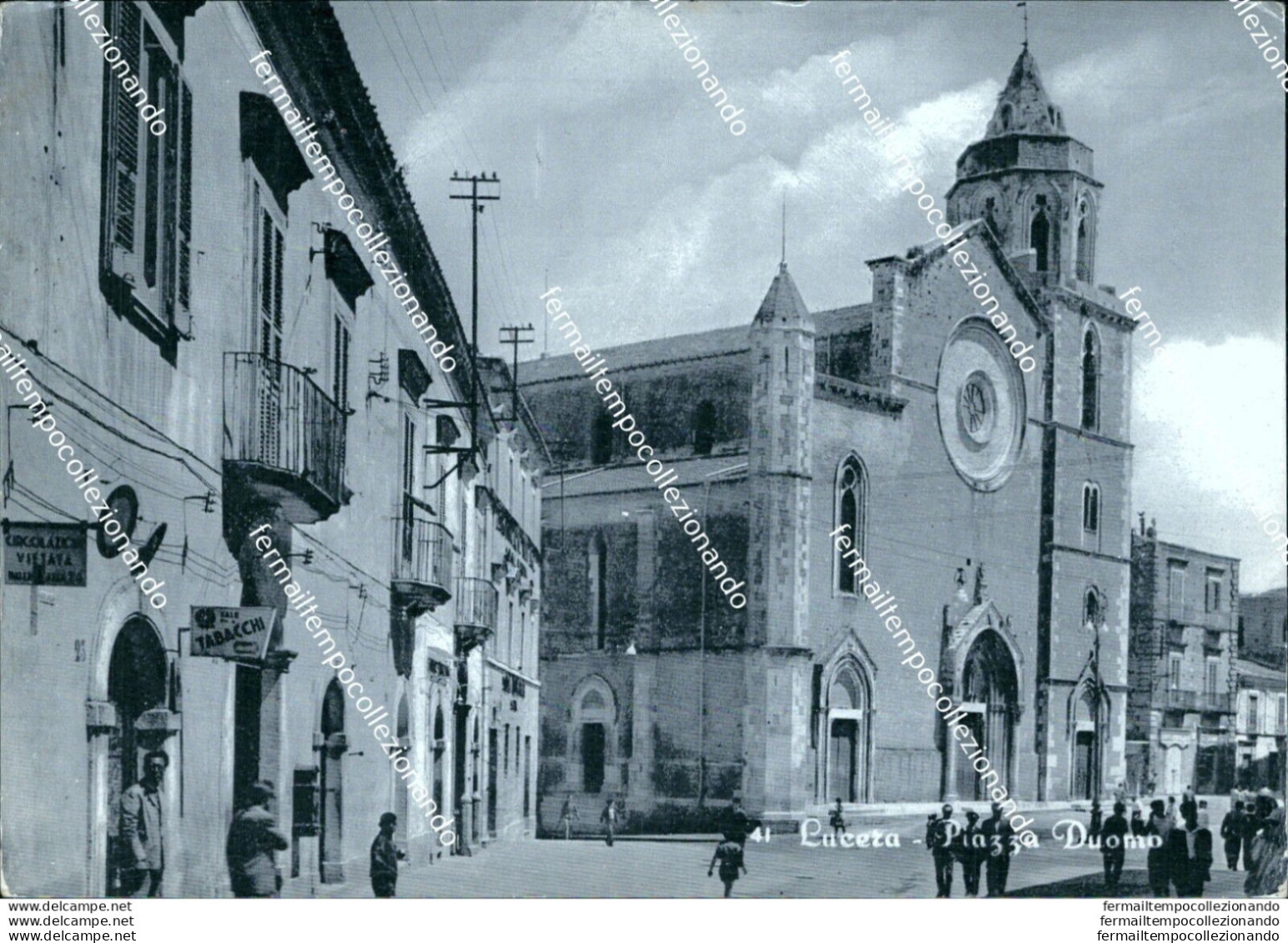 Bi206 Cartolina Lucera Piazza Duomo Provincia Di Foggia - Foggia