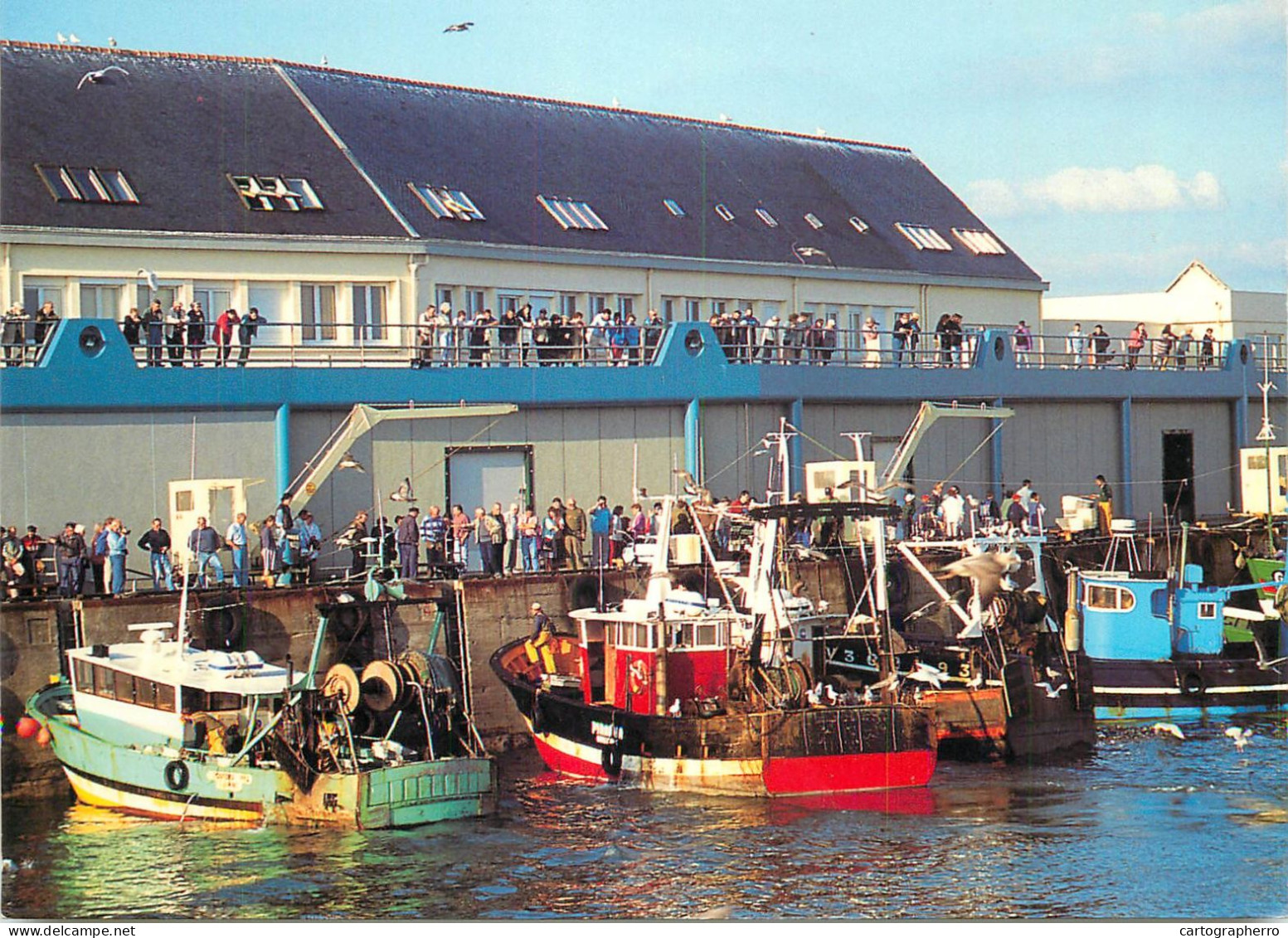 Navigation Sailing Vessels & Boats Themed Postcard Le Guilvinec Fisherman Harbour - Velieri