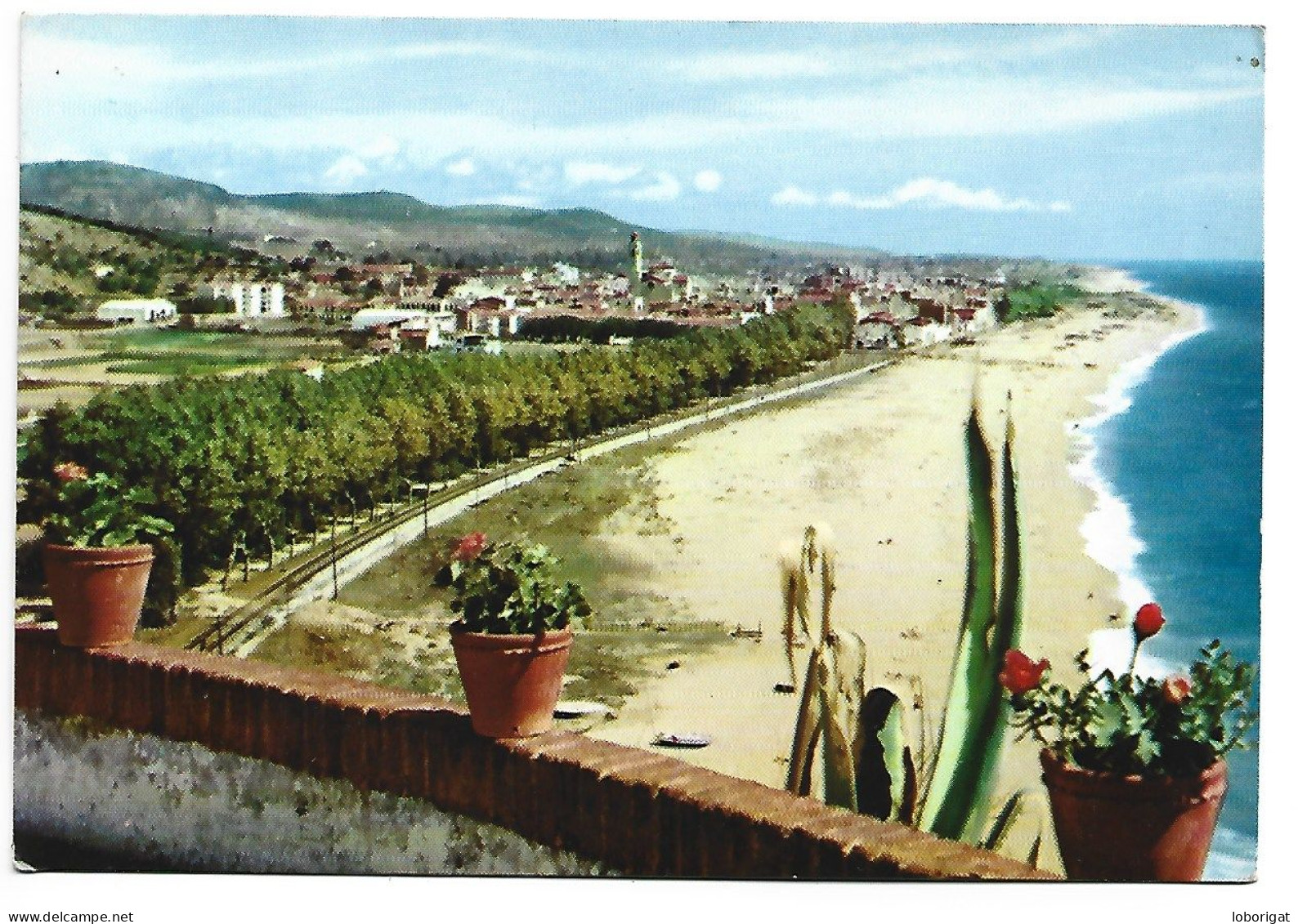 CALELLA DE LA COSTA.-  BARCELONA.- ( CATALUNYA ) - Barcelona