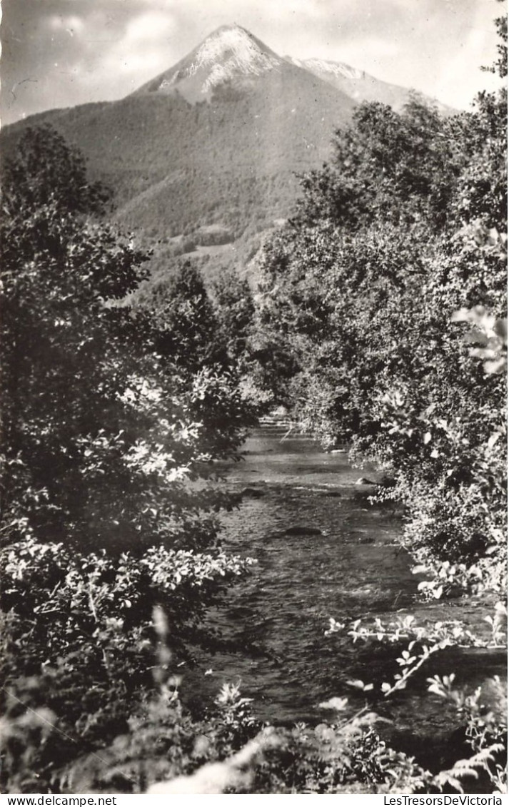 FRANCE - Vallée Du Ger - Le Cagire - Le Ger - Carte Postale - Sonstige & Ohne Zuordnung