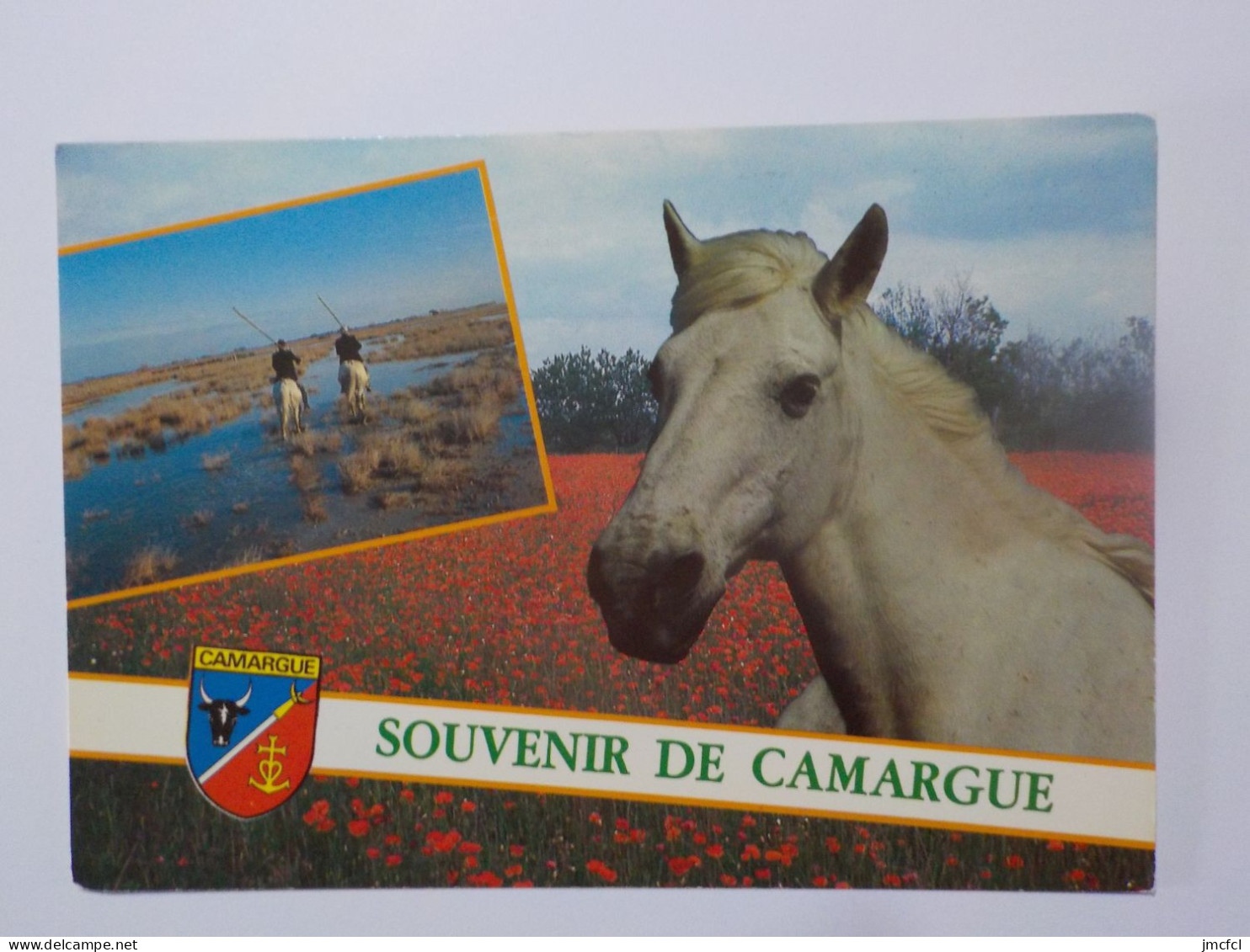 LA CAMARGUE (Dept 13-30) 38 Cartes a 0.20 euros l'une