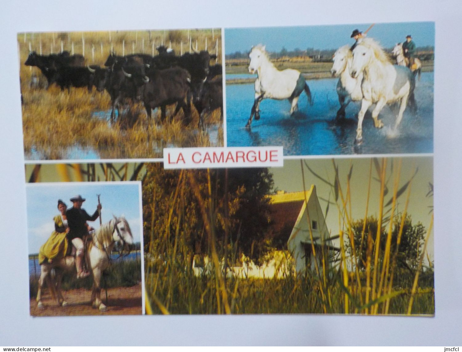 LA CAMARGUE (Dept 13-30) 38 Cartes a 0.20 euros l'une