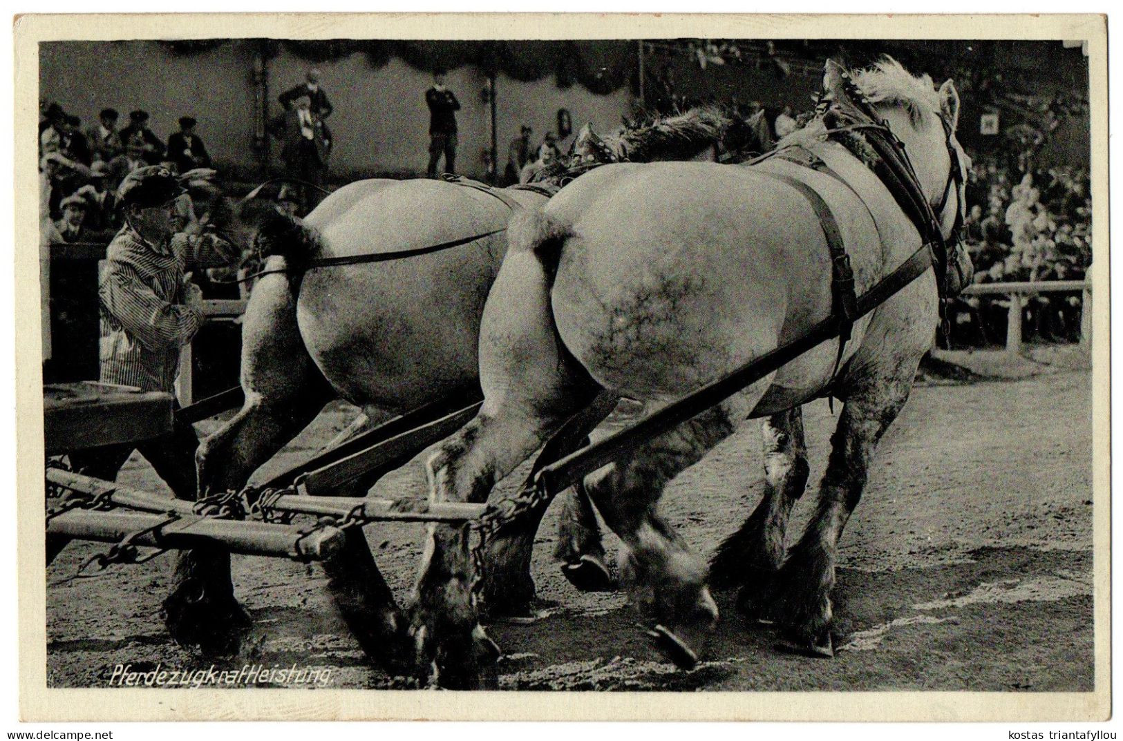 1.12.28 GERMANY, PHERDEZUGKRAFTEISTUNG, HORSES, 1939, POSTCARD - Pferde