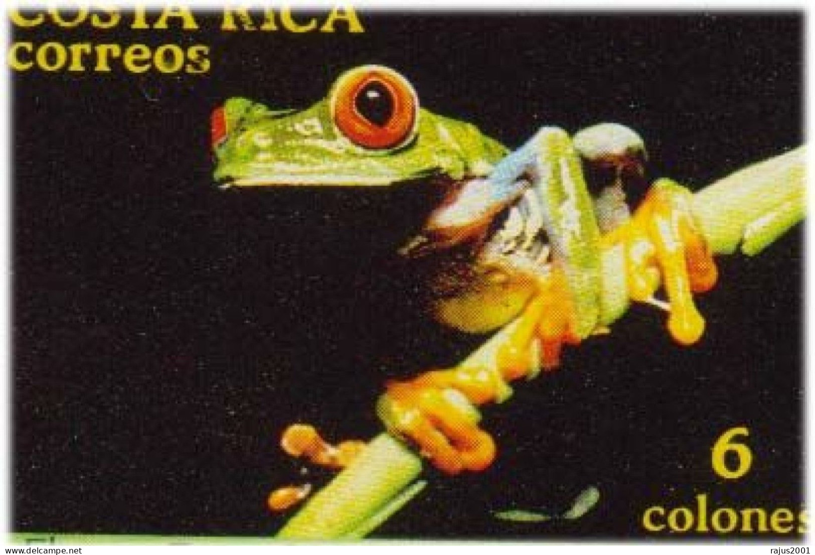 Phyllobates Lugubris Lovely Poison Frog, Hourglass Tree Frog, Blue Jeans Strawberry Poison Frog, Harmful Animal FDC - Rane