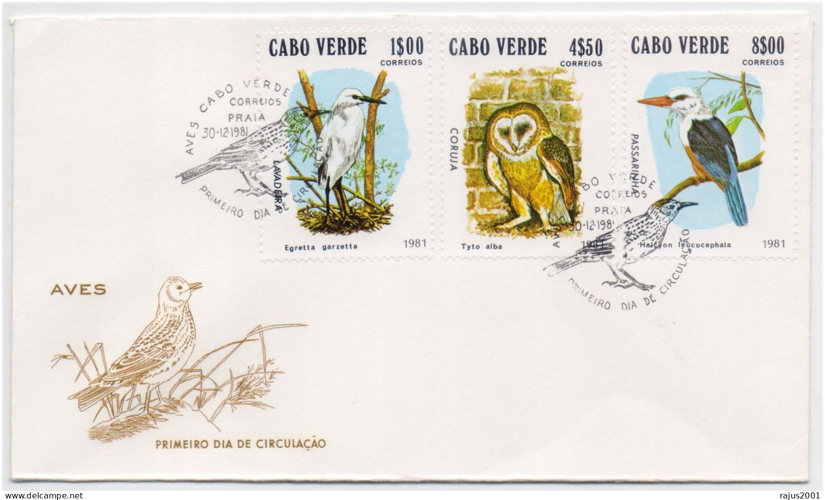 BARN OWL, OWLS, Hibou, Eule, Uil, Birds, Kingfisher Bird, Animal, Pictorial Cancellation Cape Verde FDC - Eulenvögel