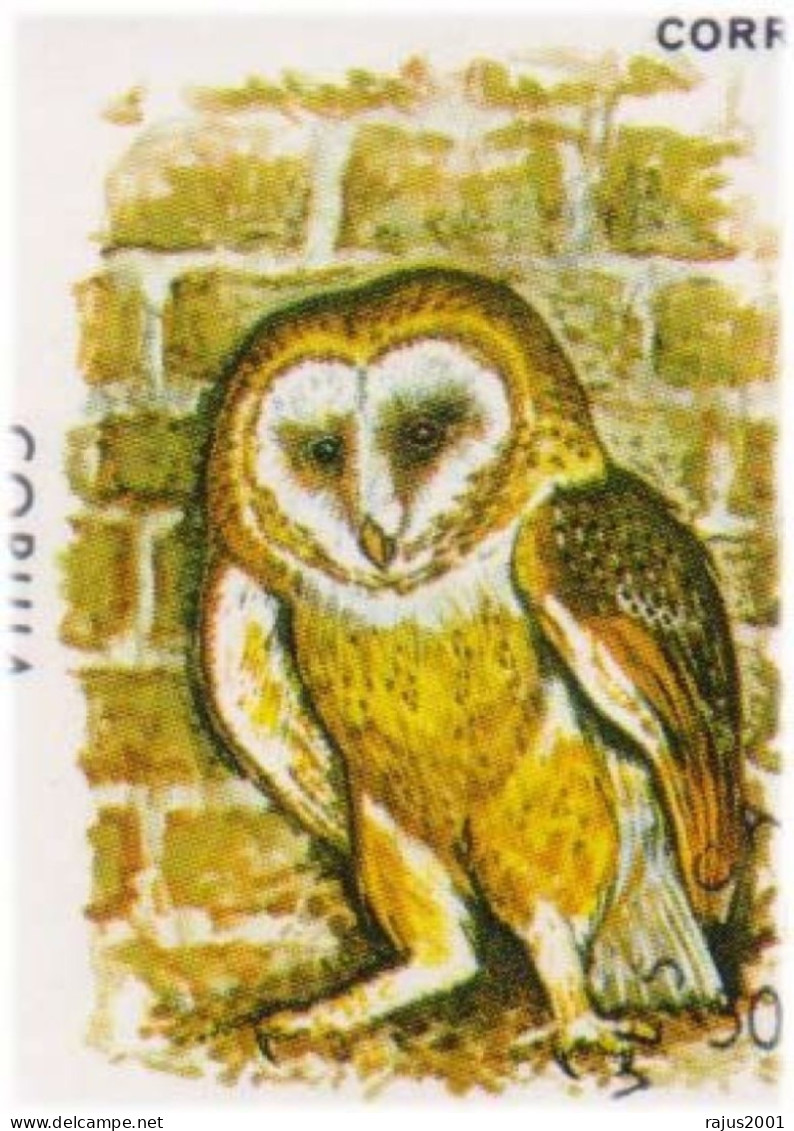 BARN OWL, OWLS, Hibou, Eule, Uil, Birds, Kingfisher Bird, Animal, Pictorial Cancellation Cape Verde FDC - Owls