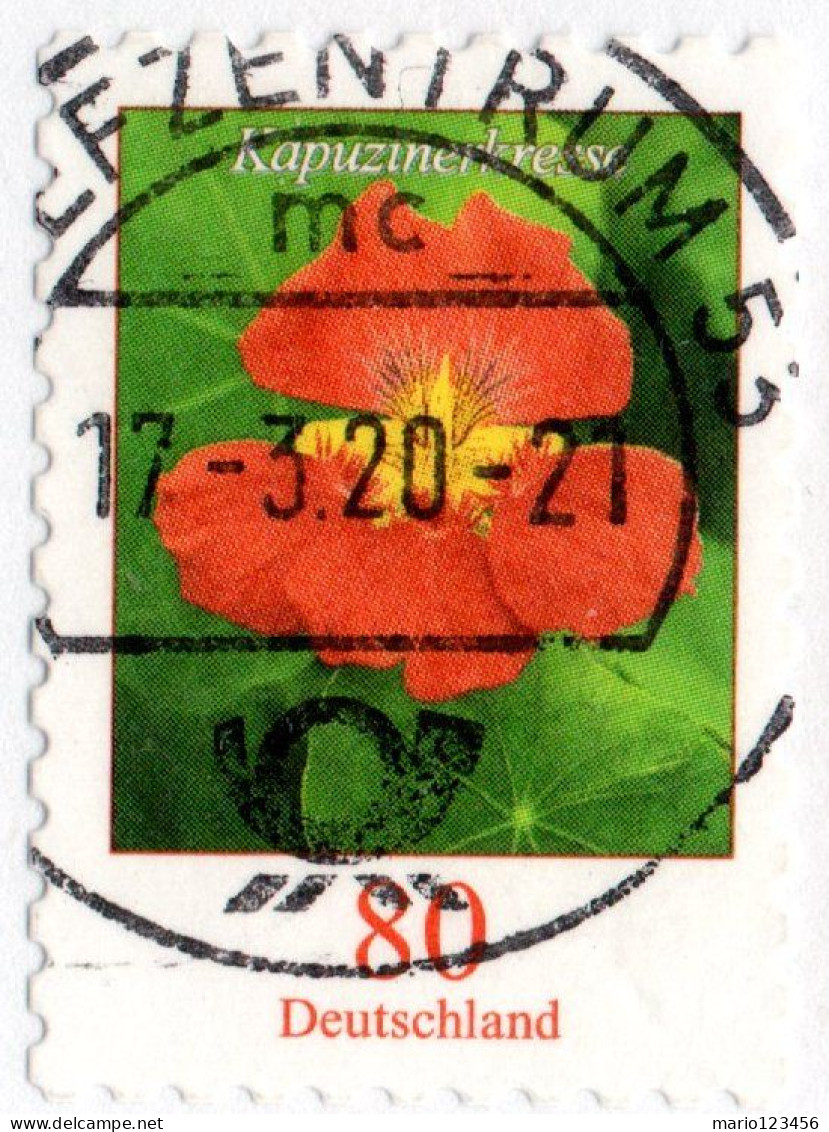 GERMANIA, REPUBBLICA FEDERALE, GERMANY, FLORA, FIORI, FLOWERS, 2019, USATI Scott:DE 3104, Yt:DE 3247 - Used Stamps