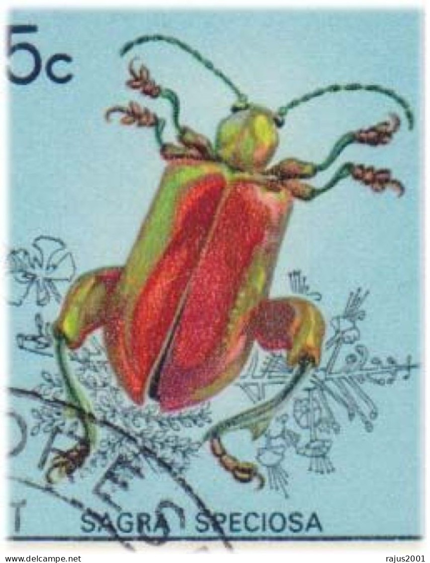 Insects, Insect, Eupholus Beetle, Cyphogastra Beetle, Sagra Beetles, Harmful Insects Animal, FDC - Otros & Sin Clasificación