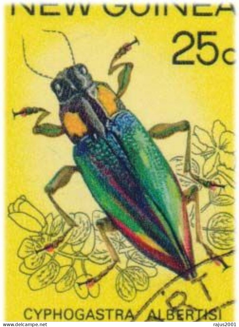 Insects, Insect, Eupholus Beetle, Cyphogastra Beetle, Sagra Beetles, Harmful Insects Animal, FDC - Otros & Sin Clasificación