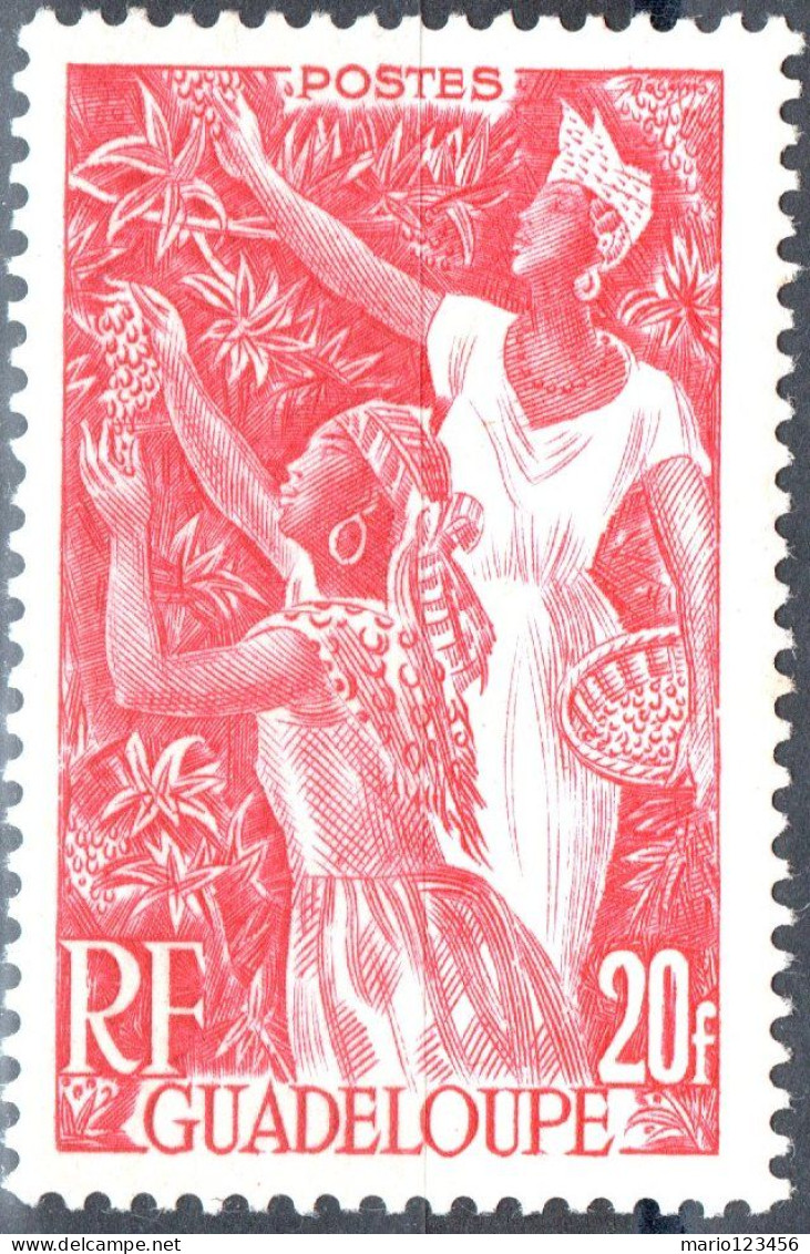 GUADALUPA, GUADALOUPE, COSTUMI LOCALI, 1947, FRANCOBOLLI NUOVI (MNH**) Mi:GP 228, Scott:GP 203, Yt:GP 211 - Nuovi