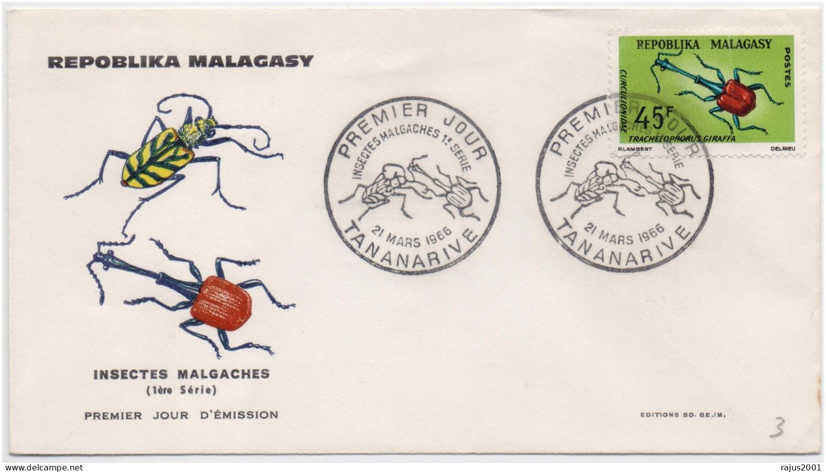 Giraffe Weevil, Curculionidae Weevils, Insect, Insects, Harmful Insect, Animal, Pictorial Cancellation Malagasy FDC - Altri & Non Classificati