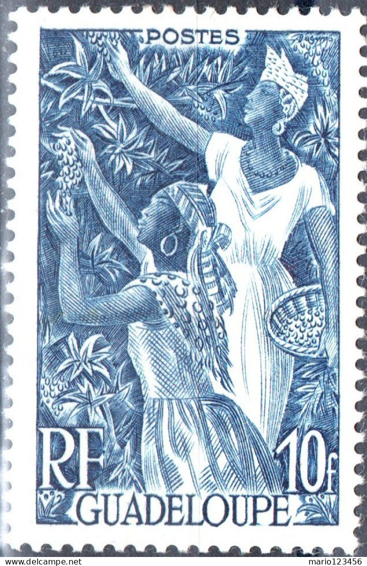 GUADALUPA, GUADALOUPE, COSTUMI LOCALI, 1947, FRANCOBOLLI NUOVI (MNH**) Mi:GP 226, Scott:GP 201, Yt:GP 209 - Unused Stamps