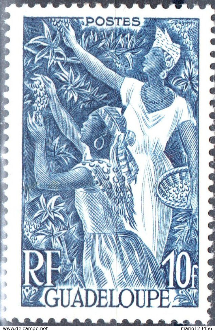 GUADALUPA, GUADALOUPE, COSTUMI LOCALI, 1947, FRANCOBOLLI NUOVI (MNH**) Mi:GP 226, Scott:GP 201, Yt:GP 209 - Nuovi