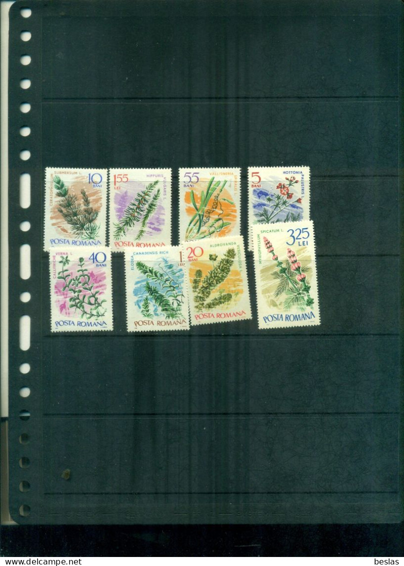 ROUMANIE PLANTES 8 VAL  NEUFS A PARTIR DE 1,50  EUROS - Unused Stamps