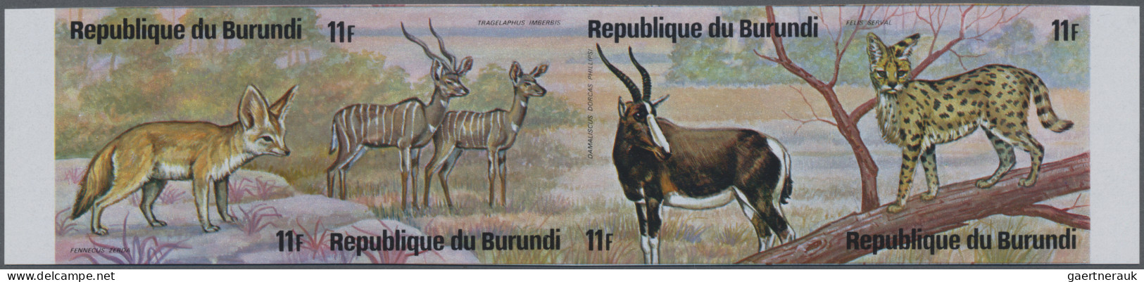 Burundi: 1975: African Animals, 12 Imperforate Mint Se-tenats. (COB 1.500 €). - Ungebraucht