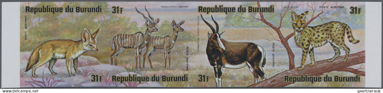 Burundi: 1975: African Animals, 12 Imperforate Mint Se-tenats. (COB 1.500 €). - Unused Stamps
