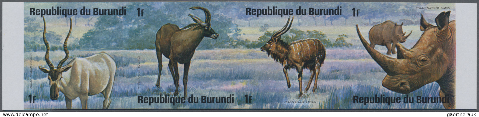 Burundi: 1975: African Animals, 12 Imperforate Mint Se-tenats. (COB 1.500 €). - Nuevos