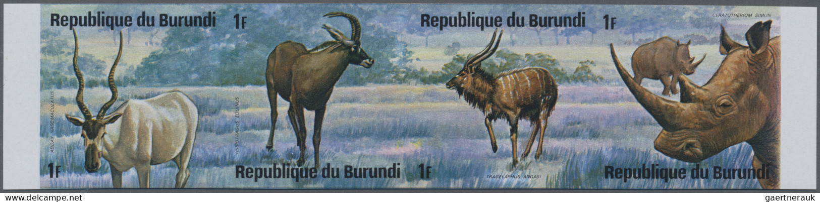 Burundi: 1975: African Animals, 12 imperforate mint se-tenats. (COB 1.500 €).