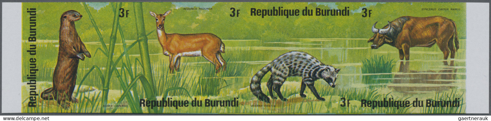 Burundi: 1975: African Animals, 12 imperforate mint se-tenats. (COB 1.500 €).