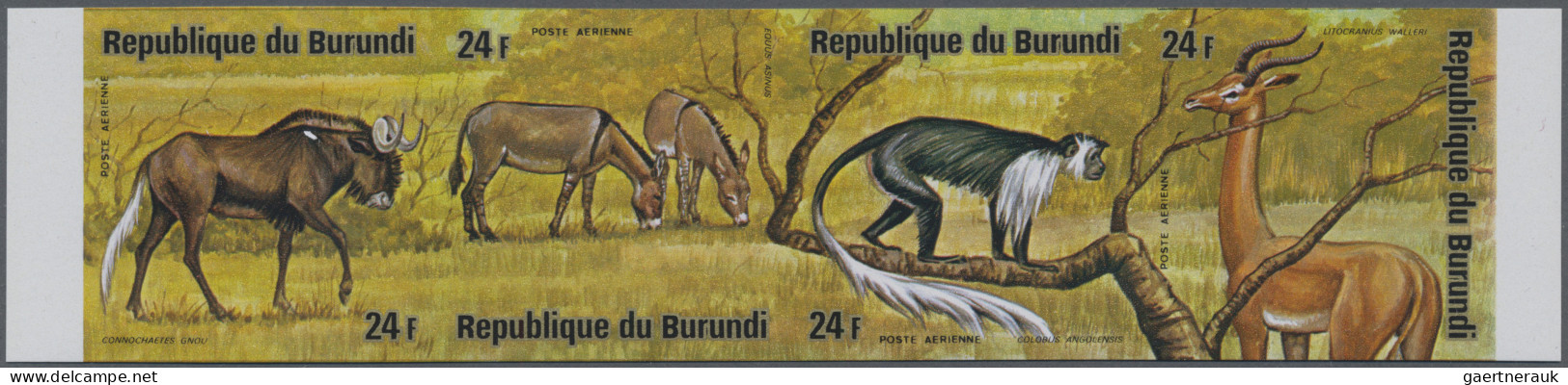 Burundi: 1975: African Animals, 12 imperforate mint se-tenats. (COB 1.500 €).