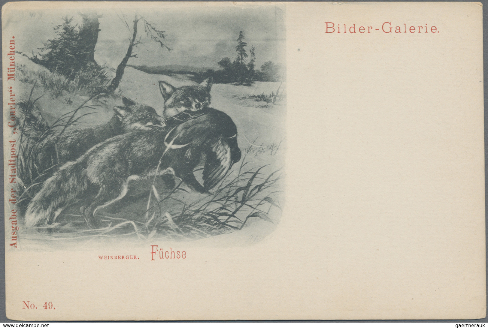 Thematics: Animals-foxes: 1897, MÜNCHEN COURIER, Ungebr. Bildpostkarte Mit Aufge - Autres