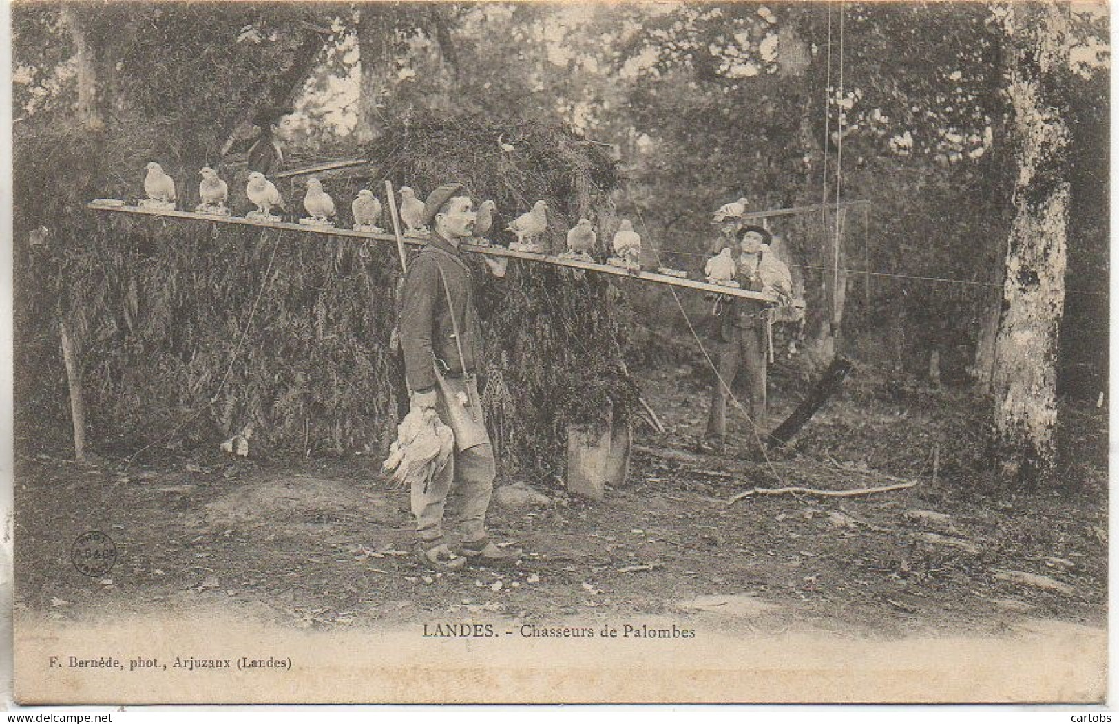 40 LANDES  - Chasseurs De Palombes - Sonstige & Ohne Zuordnung