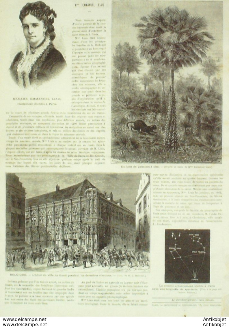 Le Monde Illustré 1874 N°898 Douarnenez (29) Fontainebleau (77) Incendie Lille (59) Belgique Gand - 1850 - 1899