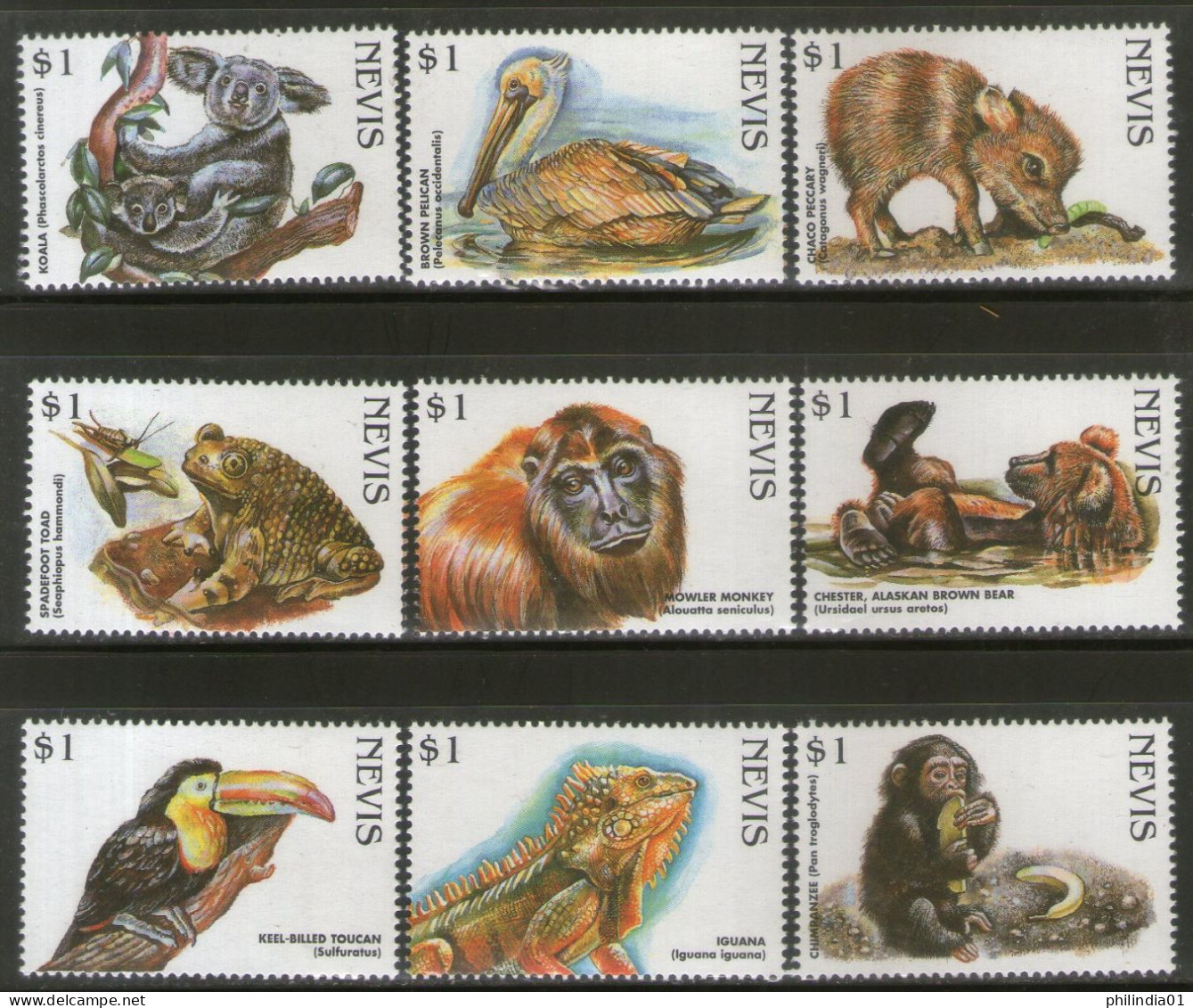 Nevis 1998 Endangered Species Birds Monkey Bear Wildlife Animals Sc 1073 9v MNH # 196 - Scimmie
