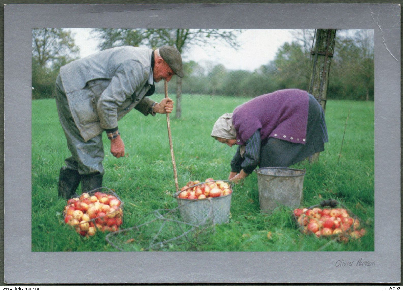 N° 035 - Normandie - Ramassage Des Pommes - Photo Olivier Manson - Basse-Normandie