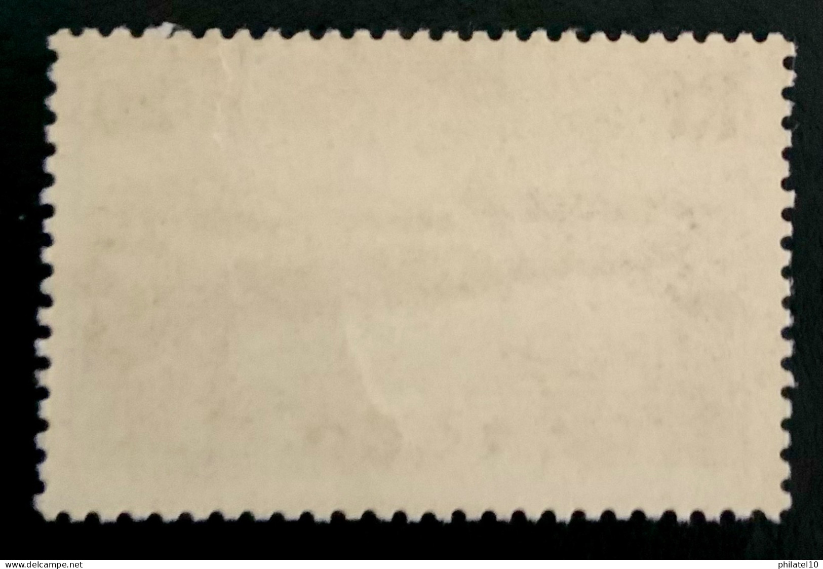 1941 FRANCE BAIE DU MONO RF 20 - NEUF** - Unused Stamps
