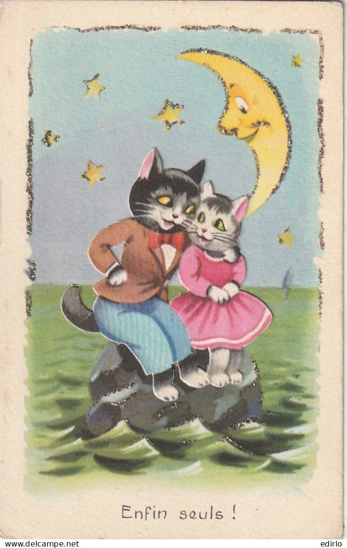 *** CHAT  *** CHATS CHATONS  --   Illustrateur Chats Enfin Seuls Découpis Strass  Clair De Lune  Neuve TTB  - Cats