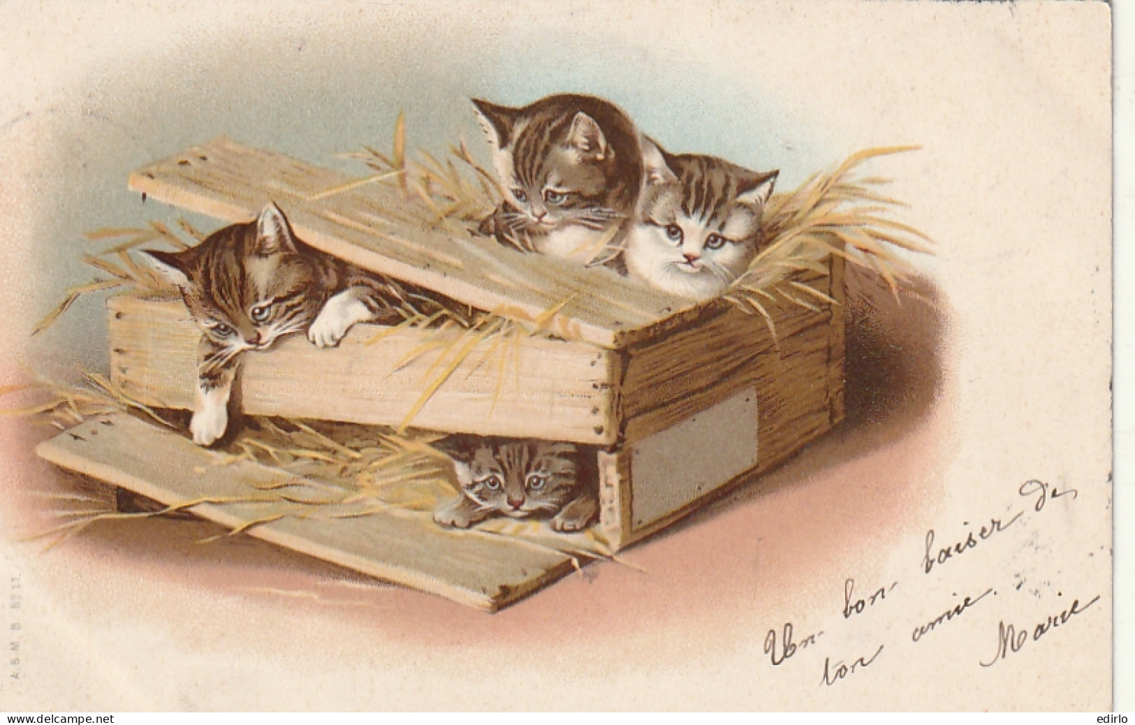 *** CHAT  *** CHATS CHATONS  --par Illustrateur Chats  Livraison En Caisse Bois Précurseur Timbré TTB 8711 - Cats