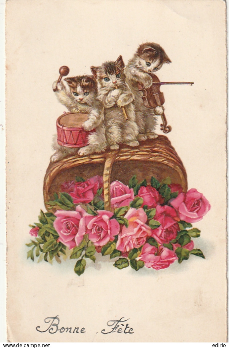 *** CHAT  *** CHATS CHATONS  --par Illustrateur Chats  Bonne Fête Chats Musiciens Et Roses écrite TTB  - Cats