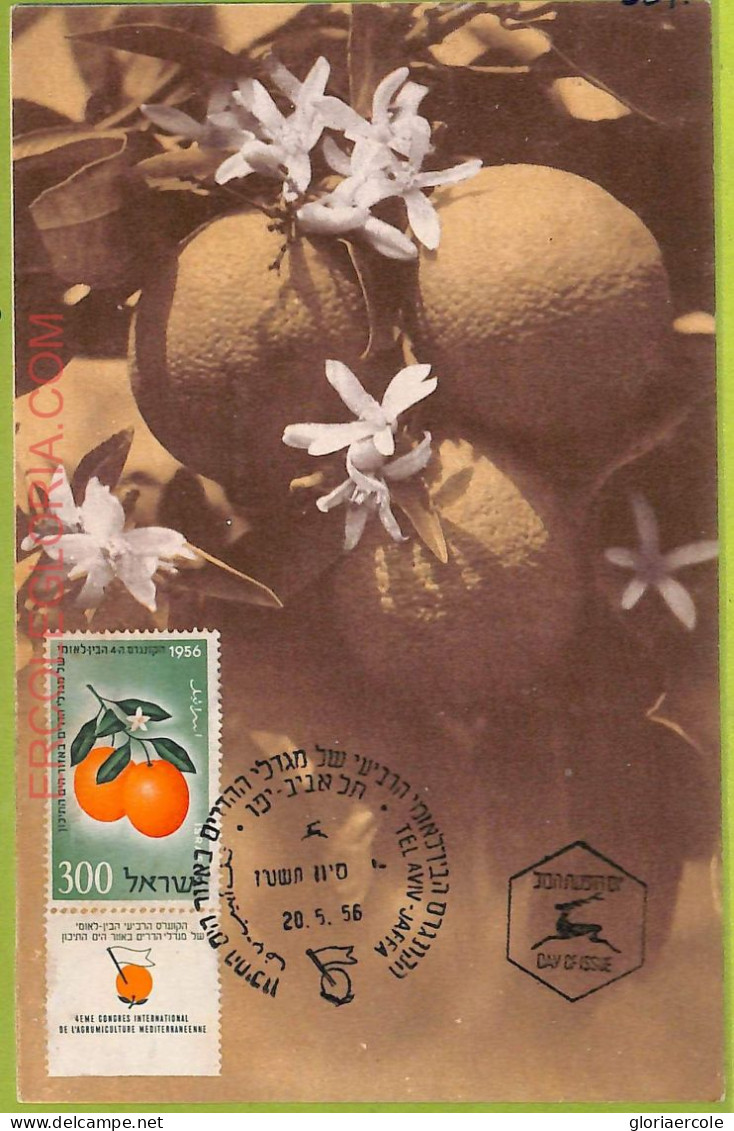 Ad3236 - ISRAEL - Postal History - MAXIMUM CARD -  1956 FRUITS Citrus - Maximum Cards