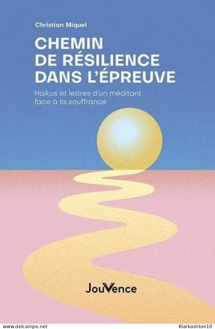 Chemin De Résilience Dans L'épreuve: Haikus Et Lettres D'un Méditant Face à La Souffrance - Autres & Non Classés