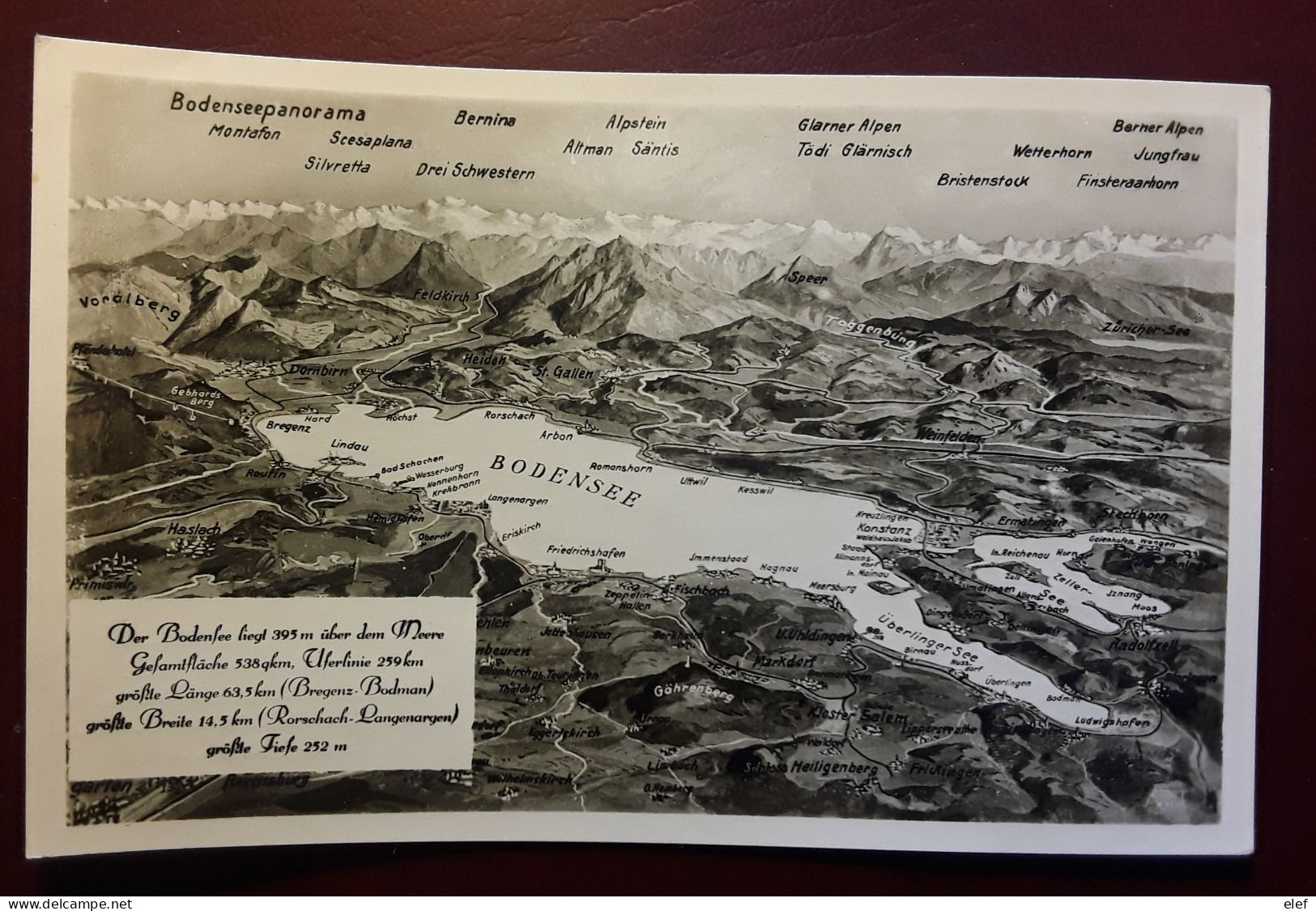 BODENSEEPANORAMA , Geographische Karte Carte Géographique. O Lindau Baden 1949, TB - Landkarten