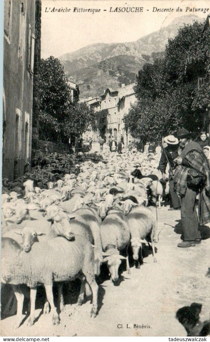 La Souche Canton De Thueyts Descente Du Pâturage Mouton Sheep Pecora Transhumance Ardèche 07380 En B.Etat - Other & Unclassified