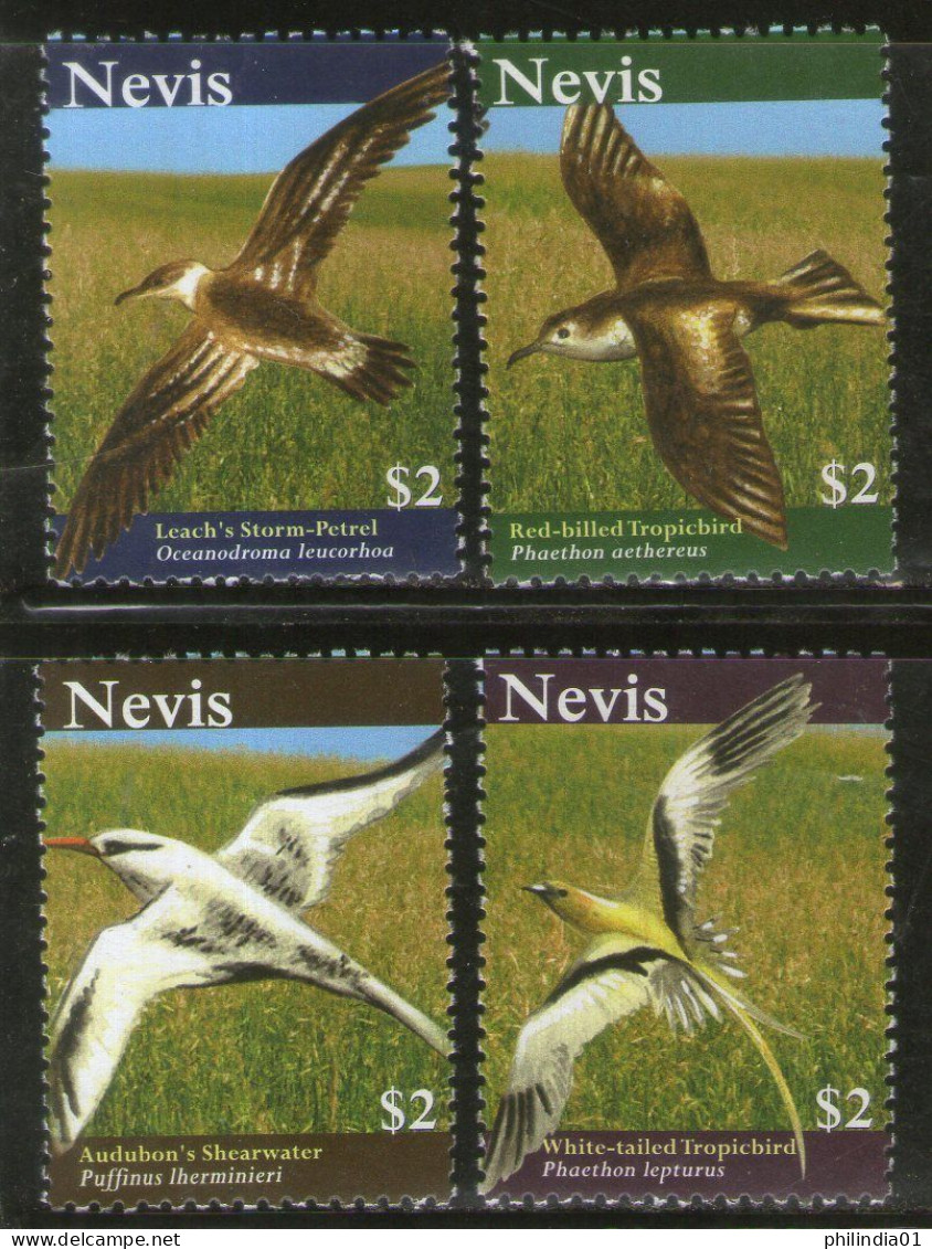 Nevis 2010 Birds Wildlife Animals Sc 1602 4v MNH # 33 - Other & Unclassified