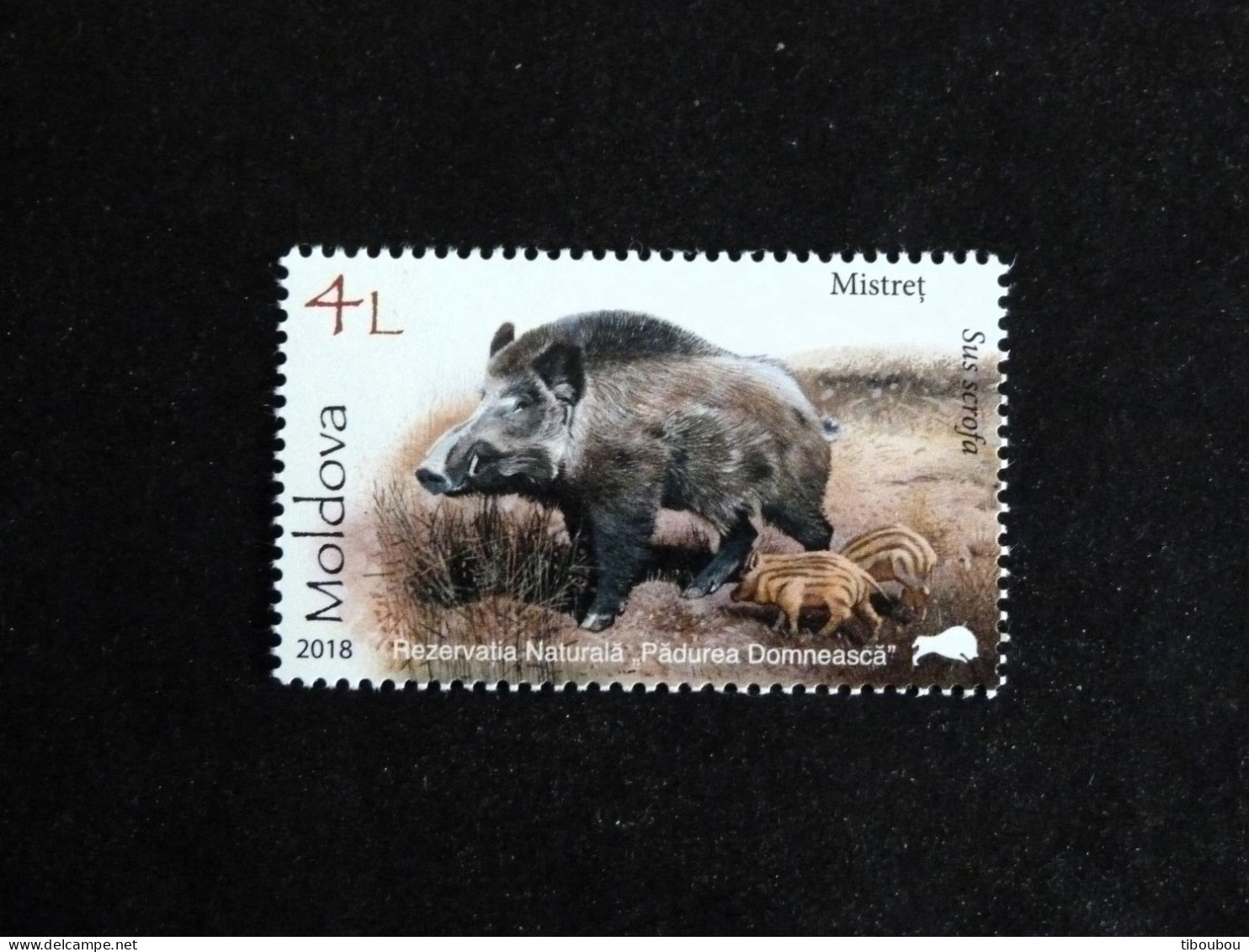 MOLDAVIE MOLDOVA YT 903 ** MNH - SANGLIER LAIE MARCASSIN WILD BOAR - Moldawien (Moldau)