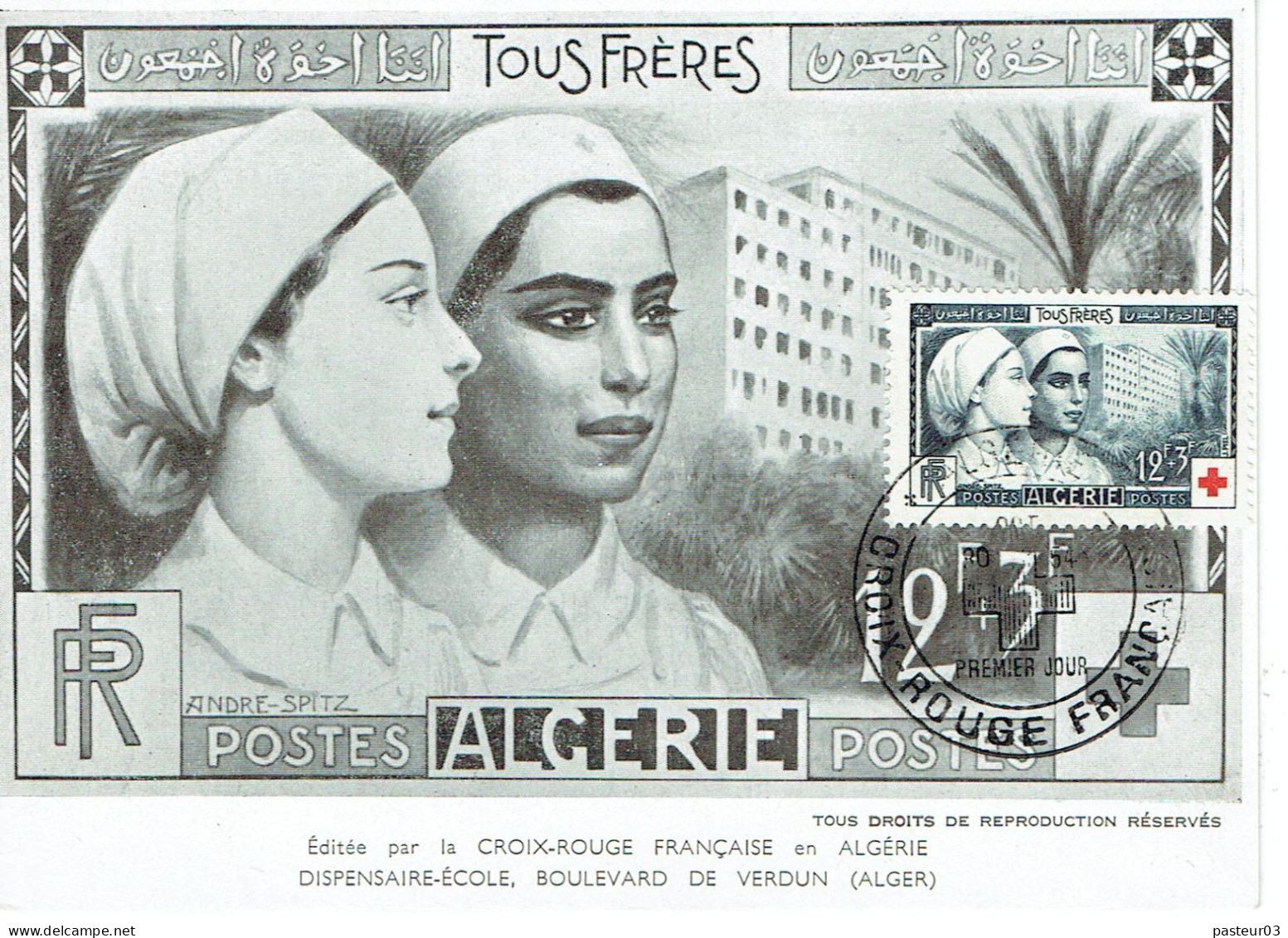 N° 316 Et N° 316 Croix Rouge Premier Jour Alger 30 Octobre 1954 Sur Deux Cartes Postales - Lettres & Documents