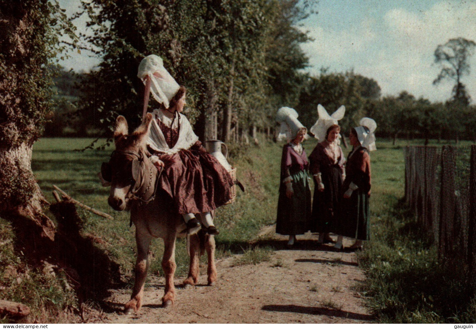 CPM - ÂNE - Folklore Normand "En Revenant De La Traite" ... Edition Artaud - Donkeys