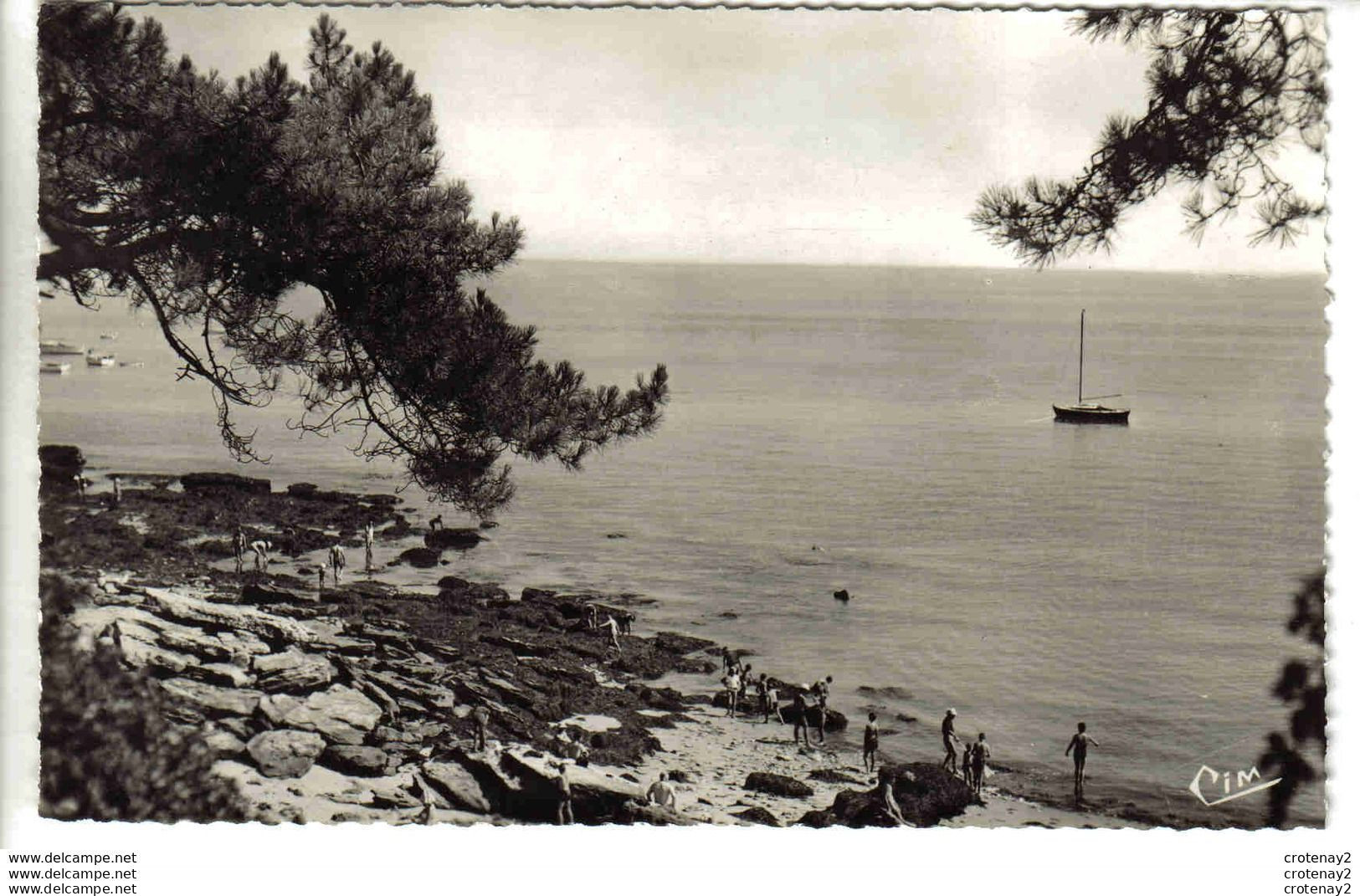 85 NOIRMOUTIER En L'ILE N°15165 L'Anse Rouge Voilier Baignade VOIR DOS - Ile De Noirmoutier