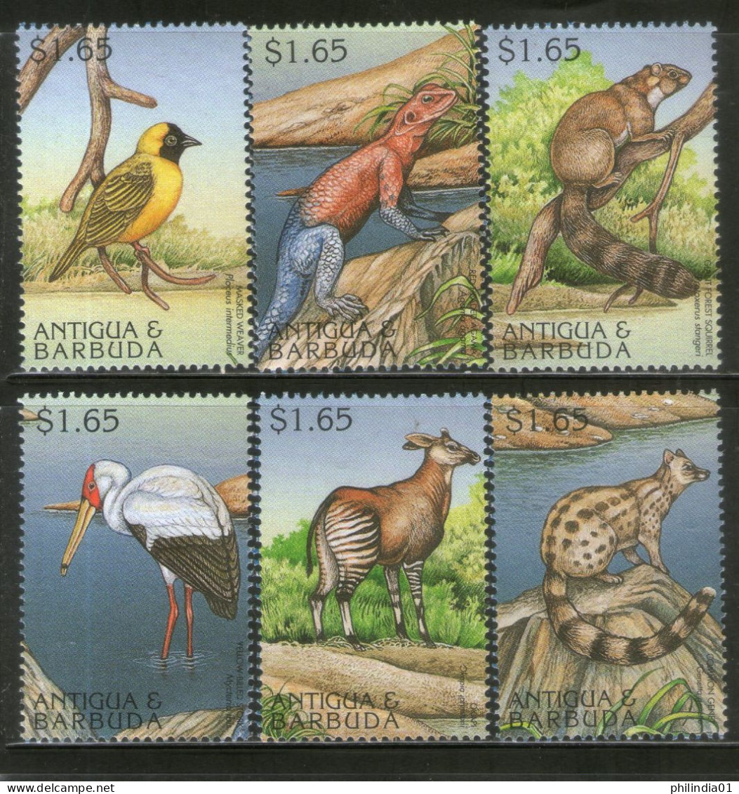 Antigua & Barbuda 1997 Endangered Species Birds Wildlife Animals Sc 2059 6v MNH # 25 - Sonstige & Ohne Zuordnung