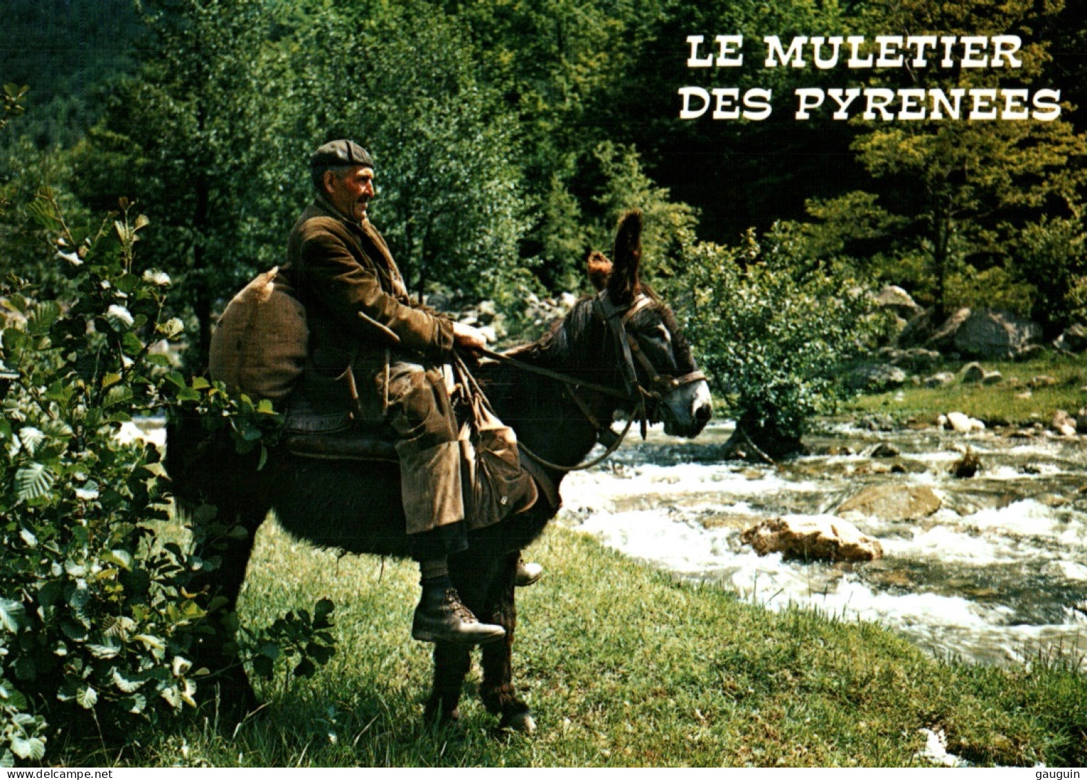 CPM - ÂNE - Le Muletier Des PYRÉNÉES Mi-Berger Mi-Contrebandier ... Edition Thouand - Donkeys