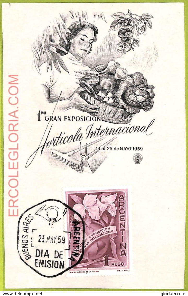 Ad3264 - ARGENTINA - Postal History - MAXIMUM CARD - 1959 -  Vegetables - Levensmiddelen