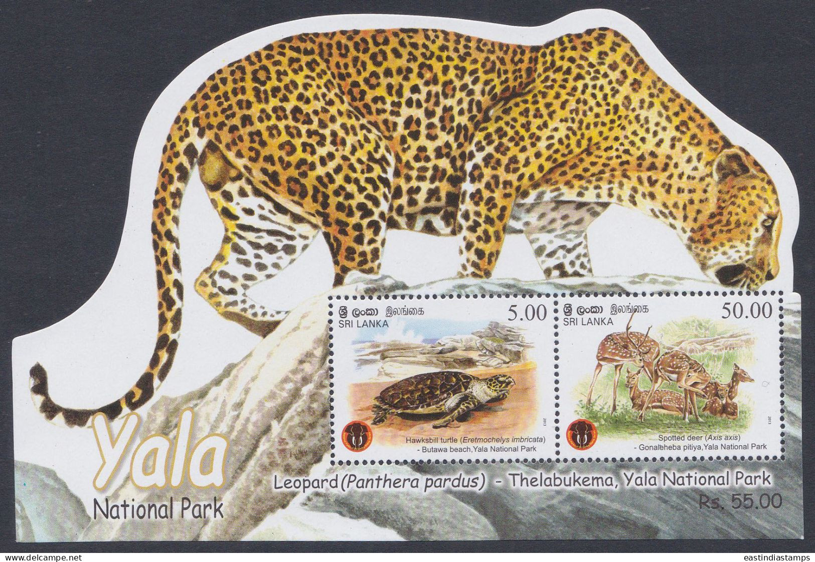 Sri Lanka 2013 MNH MS YALA National Park, Leopard, Turtle, Deer, Wildlife, Wild Life, Animal, Animals, Miniature Sheet - Sri Lanka (Ceilán) (1948-...)